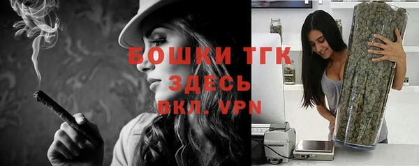apvp Богданович