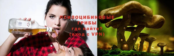 apvp Богданович