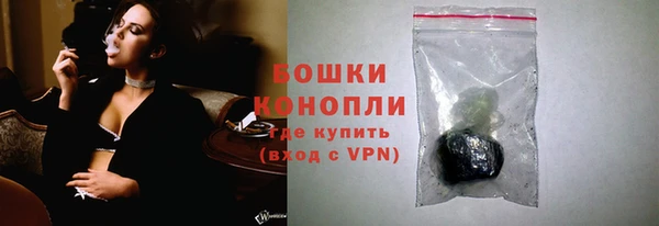 apvp Богданович
