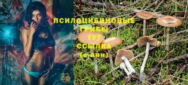 apvp Богданович
