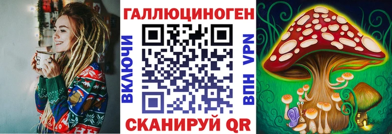 наркотики  Гусь-Хрустальный  Галлюциногенные грибы Psilocybine cubensis 